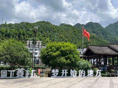 中天智匯安裝黨總支赴淳安下姜村參觀學習