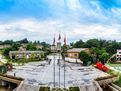 中天智匯安裝黨總支組織開展慶“七一”主題活動